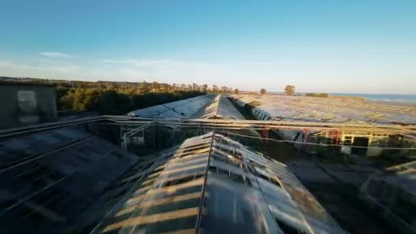 Aerial View Destroyed Greenhouse — Stockvideo