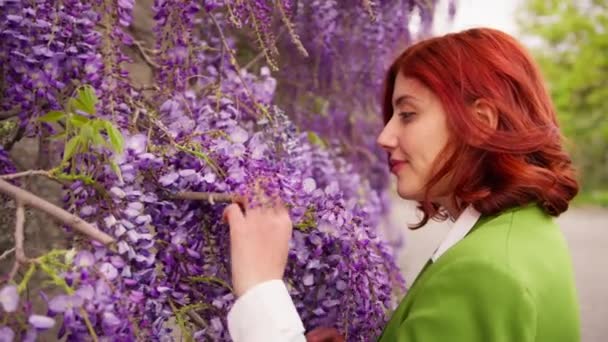 Mujer Buscando Púrpura Wisteria Flores — Vídeos de Stock