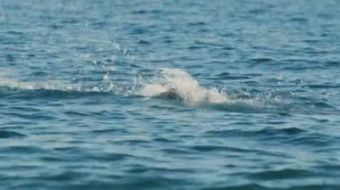 Okyanusta yüzmek çocuk