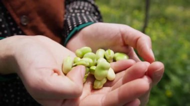 El ele tutuşun, fasulye tutun.