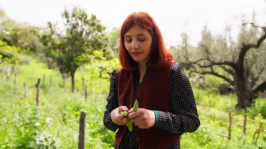 Köylü kız fasulye soyar..