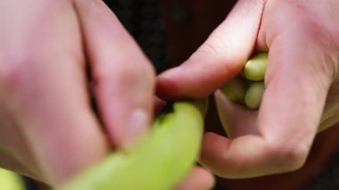 El ele tutuşun, fasulye tutun.