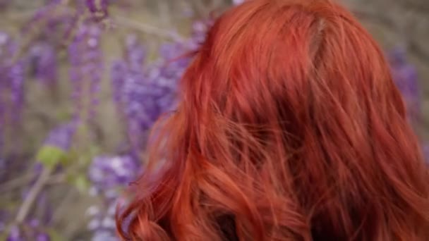 Femeie Sub Violet Wisteria Flori — Videoclip de stoc
