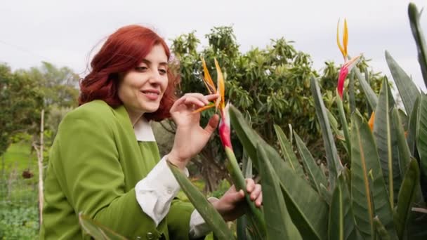 Chica Tocando Impresionante Flor Naranja — Vídeos de Stock