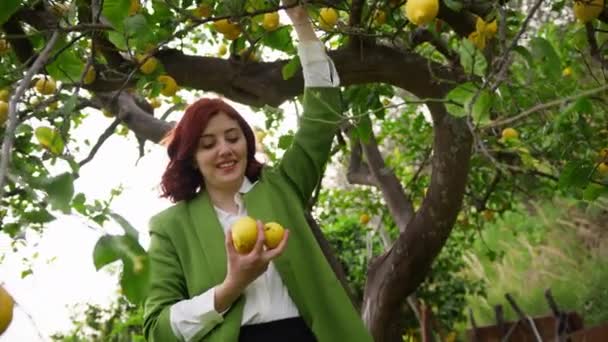 Дівчина Збирає Жовті Лимони Крупним Планом — стокове відео