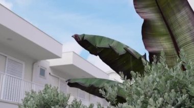 Modern teraslı evler. Modern mimari.