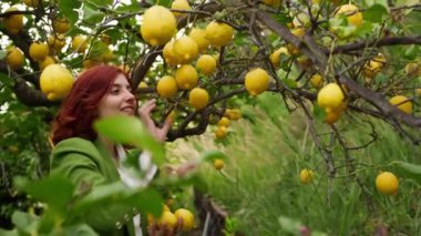 Sarı bergamot ağacının altında bir kıza yaklaş. 