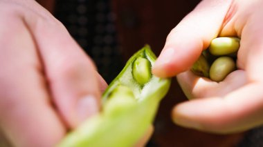 El ele tutuşun, fasulye tutun.