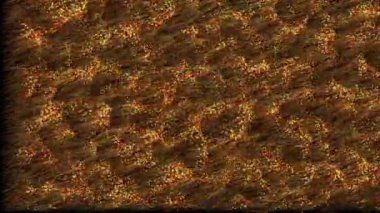 Dalgalanan saç tellerine eklenmiş renkli konfetilerin dinamik arka planı. 