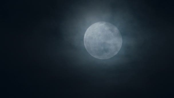 보름달의 — 비디오