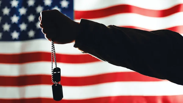 Sim Plakalı Amerikan Askerinin Silueti — Stok fotoğraf