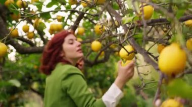 Sarı bergamot ağacının altında bir kıza yaklaş. 