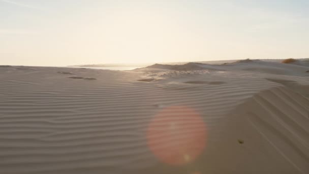 Sandy Dune Waves Sunset — Stock Video