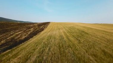 Buğday tepelerinin havadan görünüşü