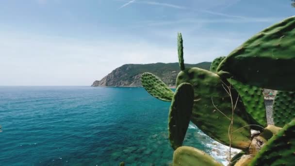 Blauwe Zee Van Cinque Terre Kust Monterosso Liguria Italië — Stockvideo