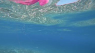 Okyanusta pembe denizanası. Pelagia Noctiluca. 