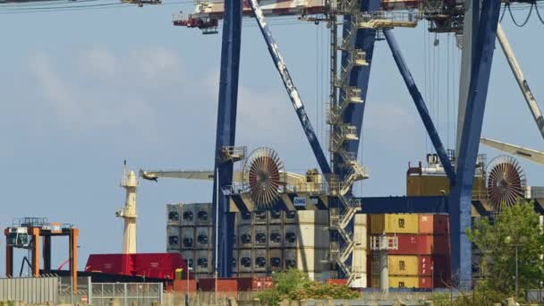 Largo Tiro Grúas Portuarias Mover Contenedores — Vídeo de stock