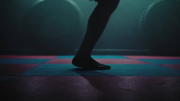 Patas Boxeador Masculino Con Cuerda Para Saltar — Vídeo de stock