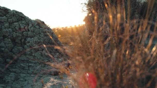 Сухая Почва Закате — стоковое видео