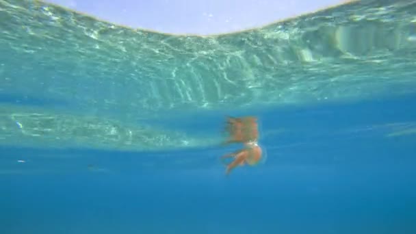 Pink Jellyfish Ocean Pelagia Noctiluca — Stock Video