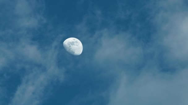 Mond Hinter Den Wolken Zeitraffer — Stockvideo