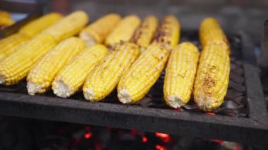 Koçanda kızarmış mısır..