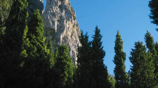 Creasta Stâncoasă Mijlocul Copacilor — Fotografie, imagine de stoc
