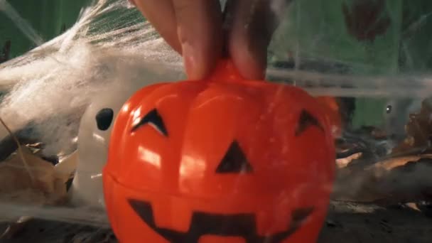 Öppnar Liten Halloweenpumpa — Stockvideo