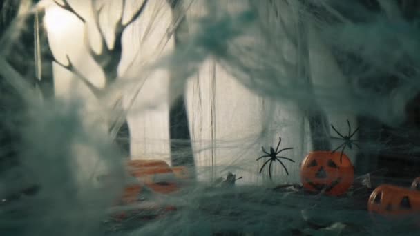 Spider Hacia Abajo Para Halloween — Vídeo de stock