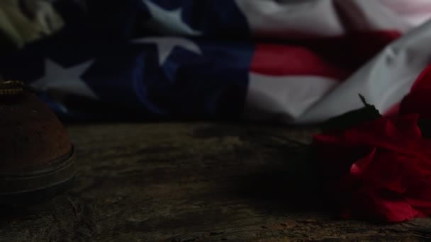 Close Veterans Day Background — Stock Video