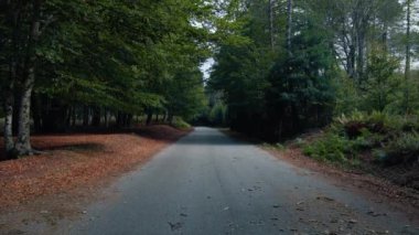 Sonbahar mevsiminde dağ yolu .