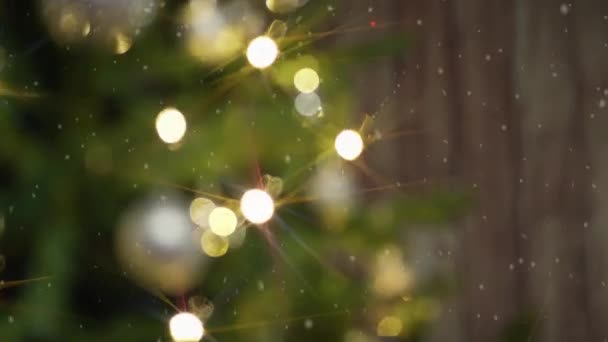 Árbol Navidad Borroso Bajo Nieve — Vídeo de stock