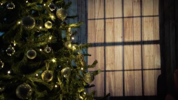 Árvore Natal Com Luzes Piscando Sombras Janela — Vídeo de Stock