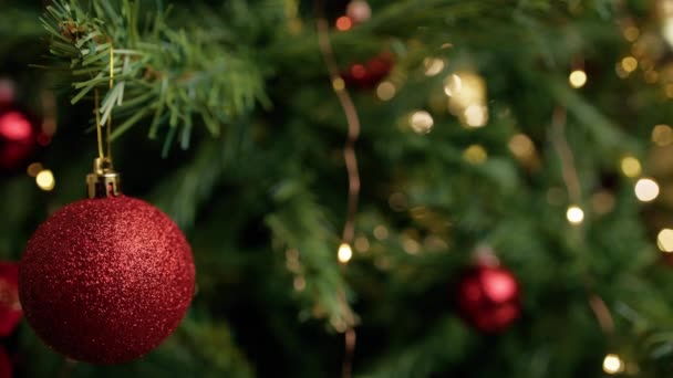 Bolas Rojas Adornando Árbol Navidad Para Las Vacaciones — Vídeo de stock