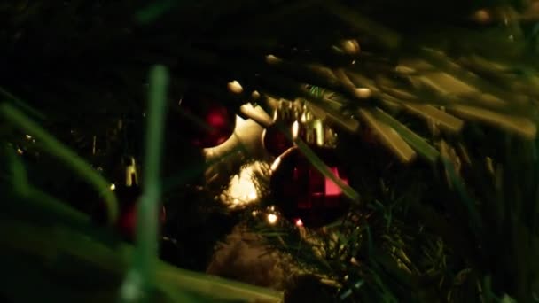 Binnengaan Een Kerstboom — Stockvideo