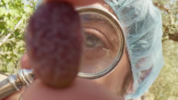 用放大镜分析健康橄榄的农艺学家 — 图库视频影像