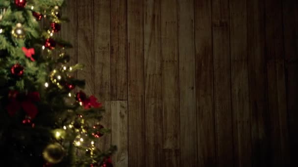 Lumière Étoilée Sur Arbre Noël — Video