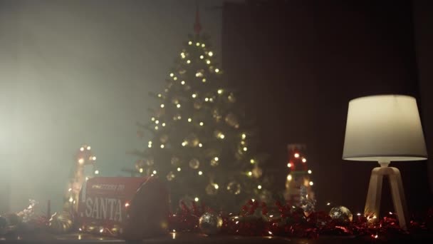 Kerst Rode Decoraties Lichten Een Kerstboom — Stockvideo