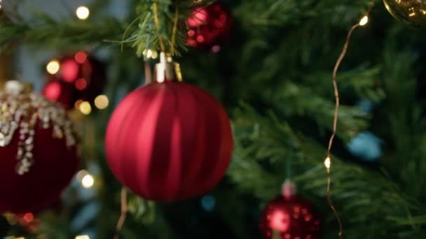 Рождественская Елка Украшена Красными Шариками — стоковое видео