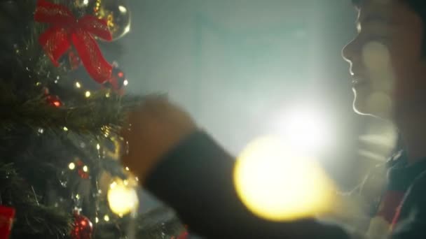 Kid Lighting Christmas Tree Holidays — Stock Video