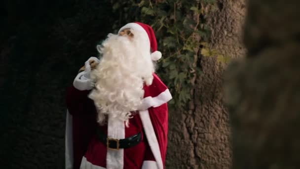 圣诞老人在找隔壁的房子 — 图库视频影像