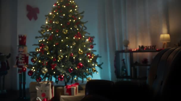 クリスマスの休日のためのクリスマスの家の装飾 — ストック動画