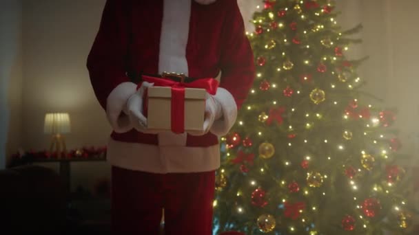 Recevoir Cadeau Noël Père Noël — Video