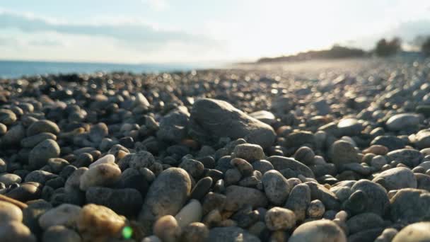 Szare Kamienie Wybrzeżu — Wideo stockowe