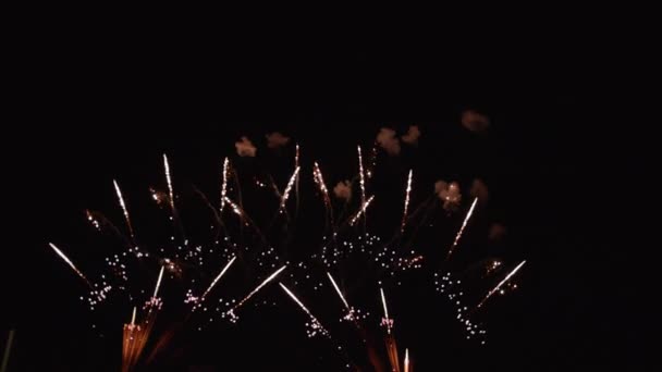 巴黎烟花圣诞庆祝活动 — 图库视频影像