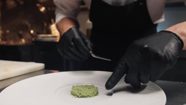 Chef Refining Detail Gourmet Dish — Stock video