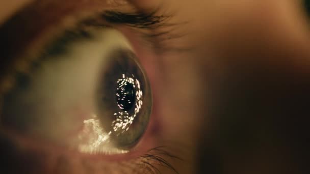 棕色眼睛的宏观调控镜头 — 图库视频影像