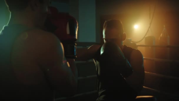 Boxeurs Battent Dans Ring Nuit — Video