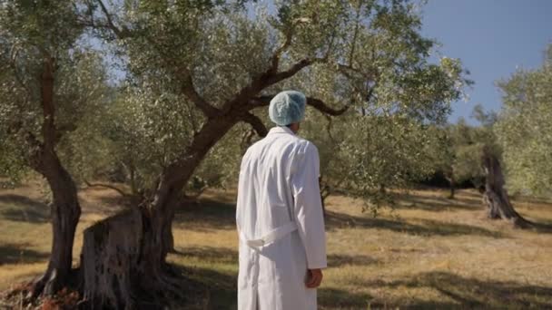 Agronomi Expert Analysera Olivträd Landsbygden — Stockvideo