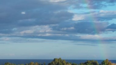 gökkuşağı okyanusun üzerinde su ve ağaçlar . 